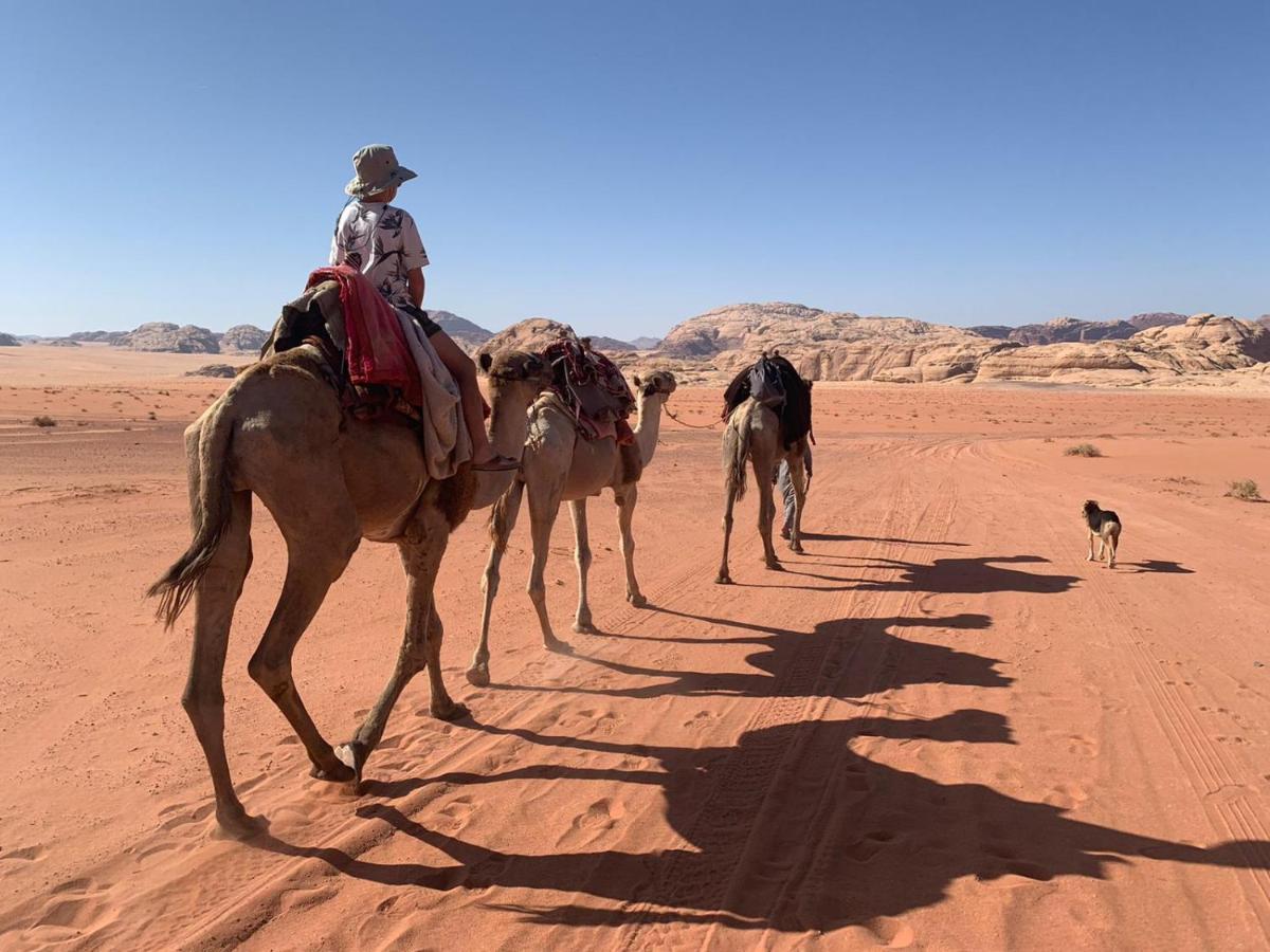 Um Sabatah Camp Hotel Wadi Rum Exterior photo